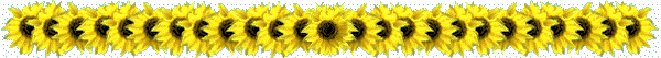 flow43.gif 